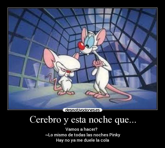 Cerebro y esta noche que... -