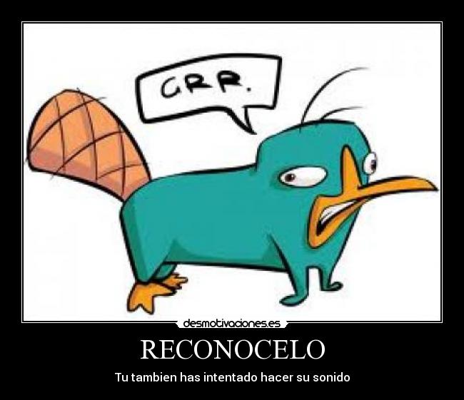 RECONOCELO -
