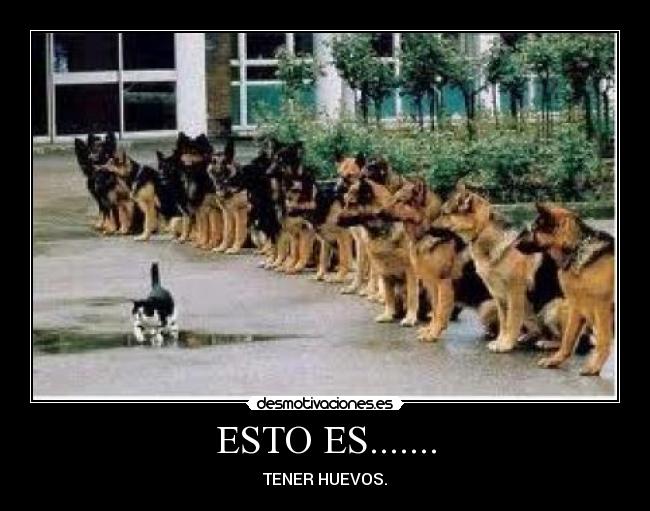 ESTO ES....... - TENER HUEVOS.