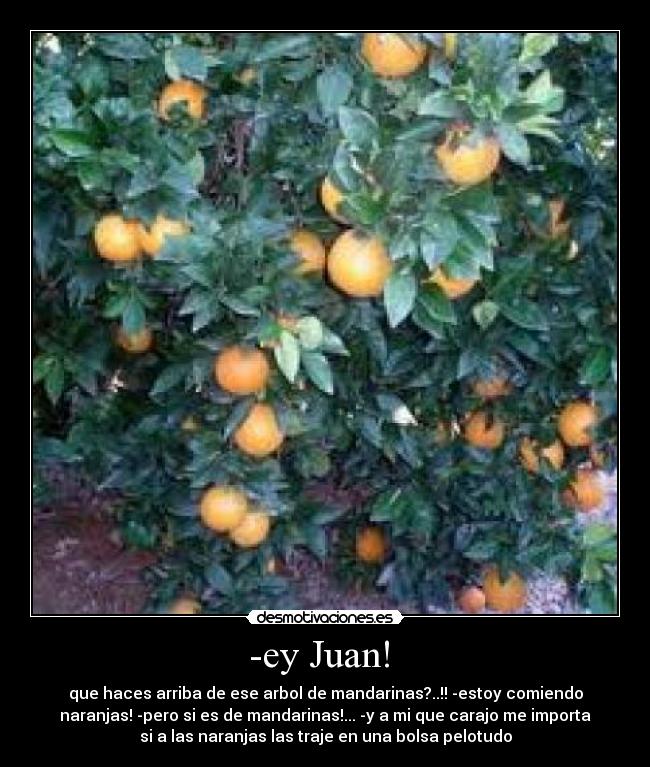 -ey Juan! - que haces arriba de ese arbol de mandarinas?..!! -estoy comiendo
naranjas! -pero si es de mandarinas!... -y a mi que carajo me importa
si a las naranjas las traje en una bolsa pelotudo