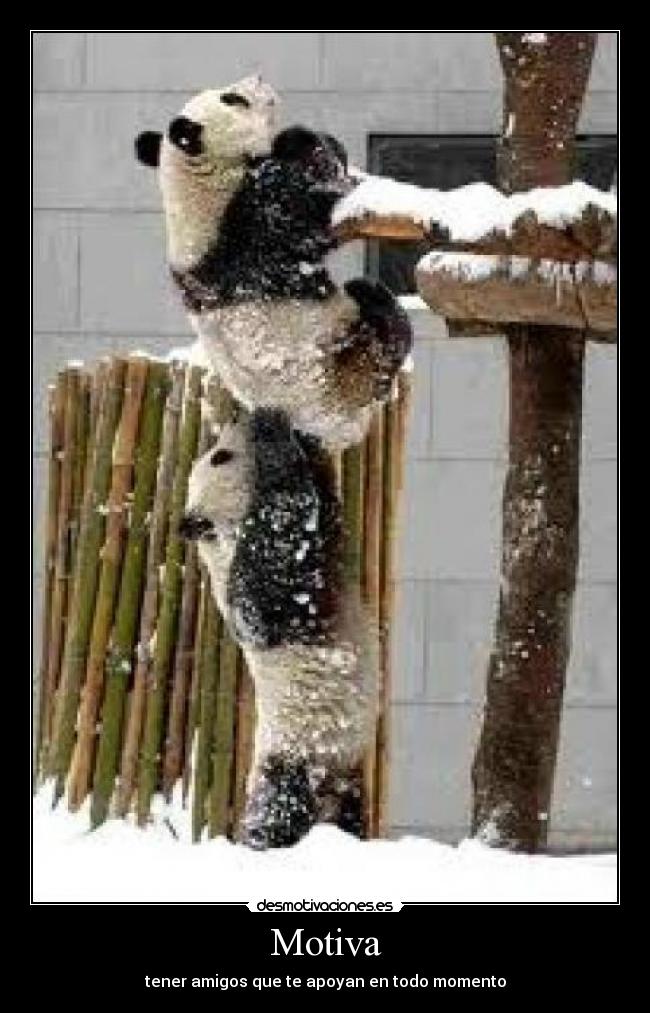 Motiva - tener amigos que te apoyan en todo momento