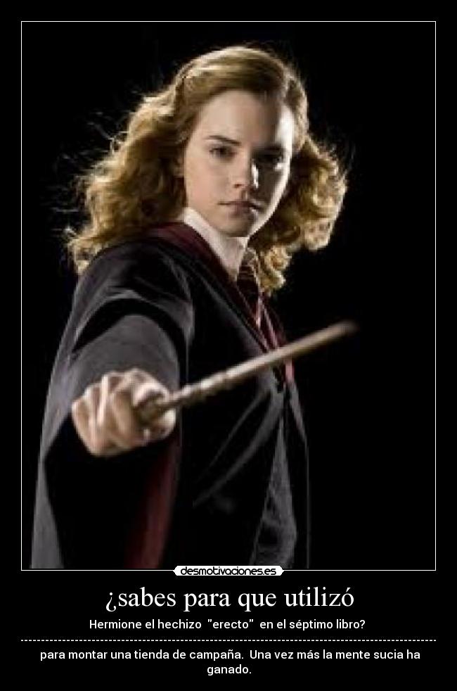 carteles harry potter desmotivaciones