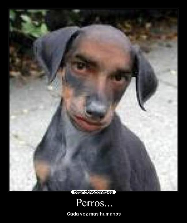 Perros... - Cada vez mas humanos