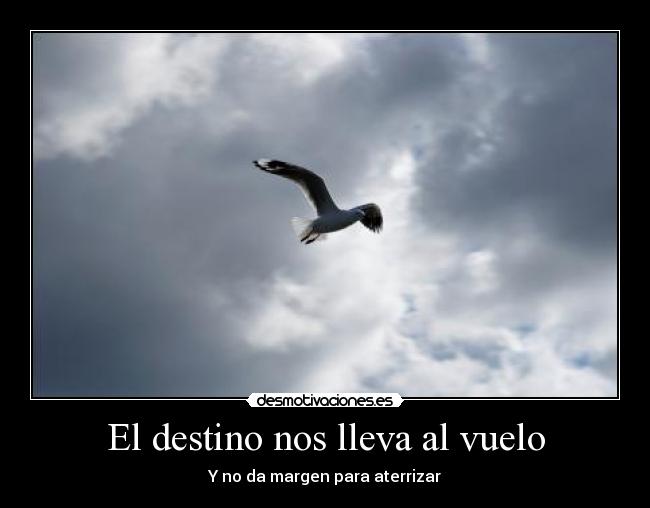El destino nos lleva al vuelo - Y no da margen para aterrizar