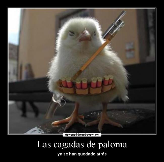 Las cagadas de paloma - ya se han quedado atrás