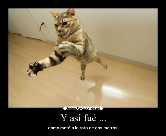 Y así fué ... - como maté a la rata de dos metros!