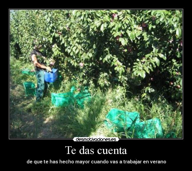 Te das cuenta - de que te has hecho mayor cuando vas a trabajar en verano