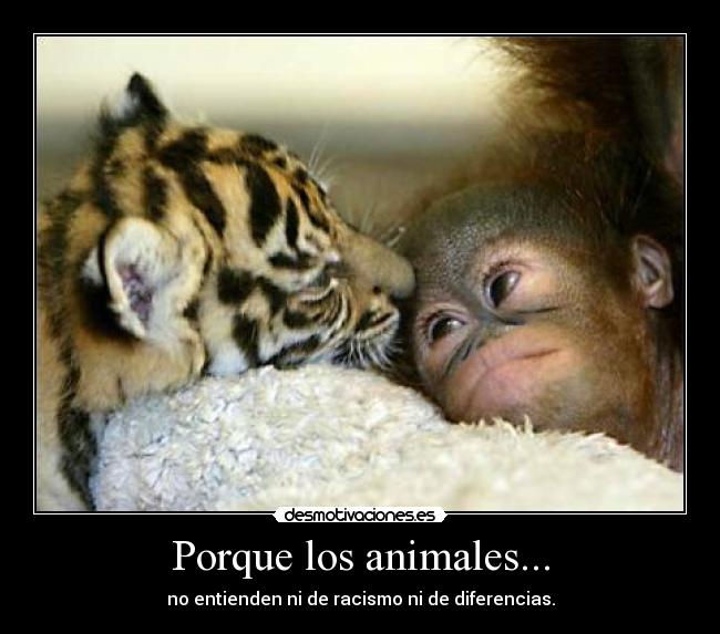 Porque los animales... - no entienden ni de racismo ni de diferencias.