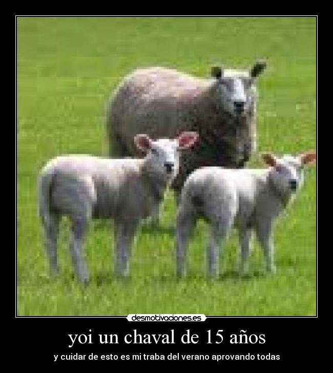 carteles cdas desmotivaciones