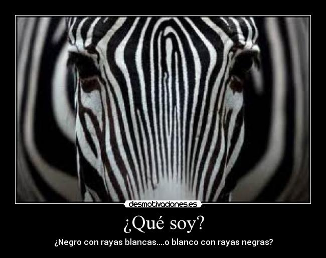 ¿Qué soy? -