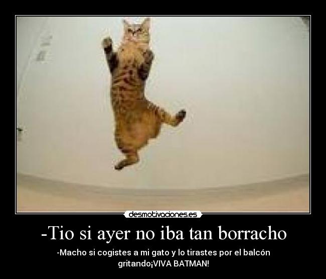 -Tio si ayer no iba tan borracho - -Macho si cogistes a mi gato y lo tirastes por el balcón gritando¡VIVA BATMAN!