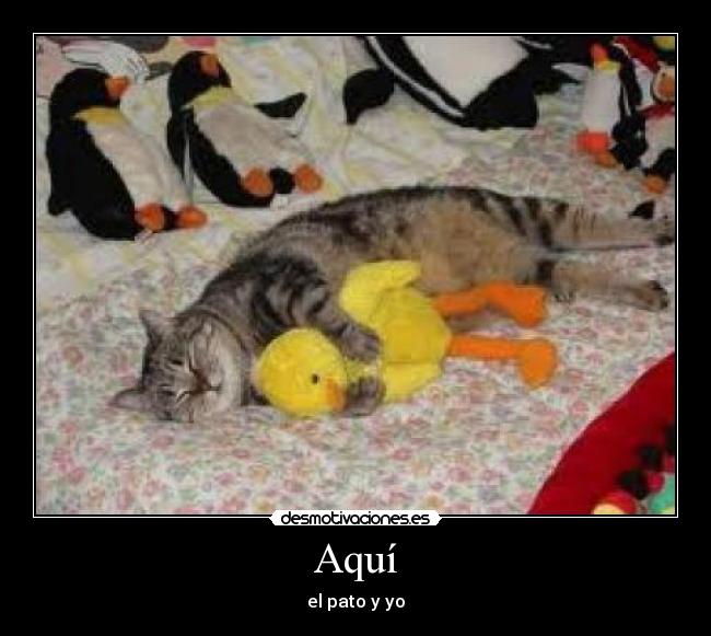 carteles desmotivaciones