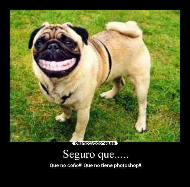 Seguro que..... - Que no coño!!! Que no tiene photoshop!!
