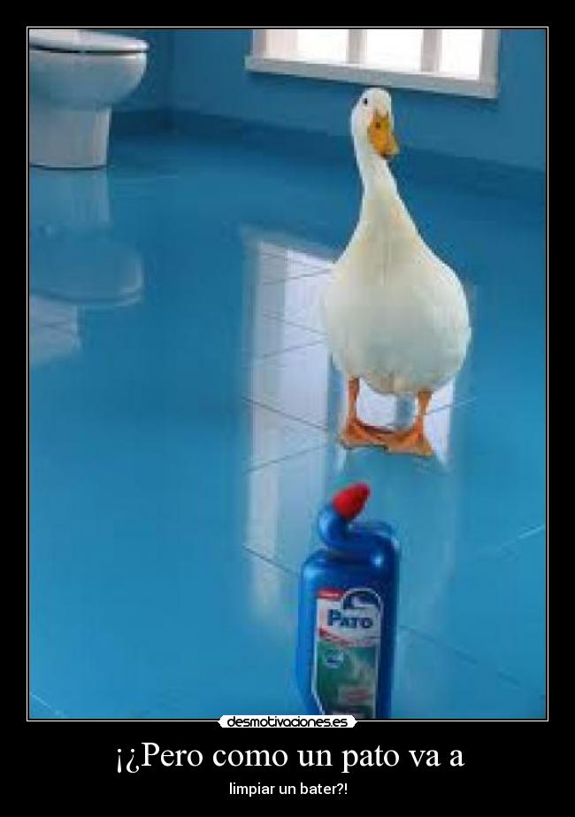 ¡¿Pero como un pato va a - limpiar un bater?!