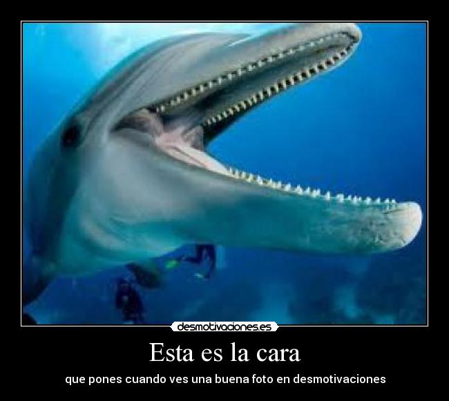 Esta es la cara - 