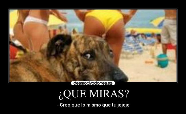 ¿QUE MIRAS? - 