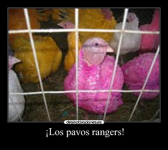 carteles pavos rangers desmotivaciones