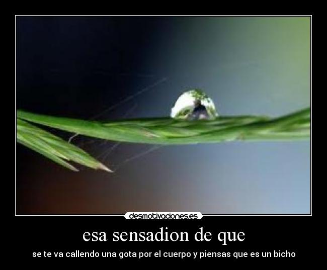 esa sensadion de que - 