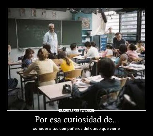 Por esa curiosidad de... - conocer a tus compañeros del curso que viene