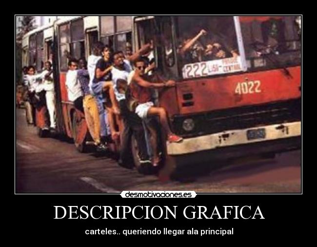 DESCRIPCION GRAFICA -