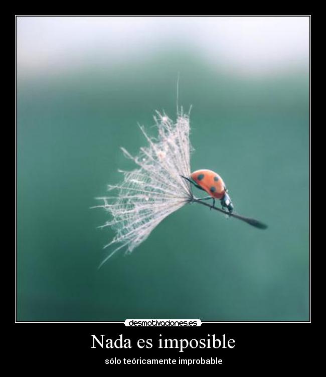 carteles imposible nada imposible teoricamente improbable desmotivaciones