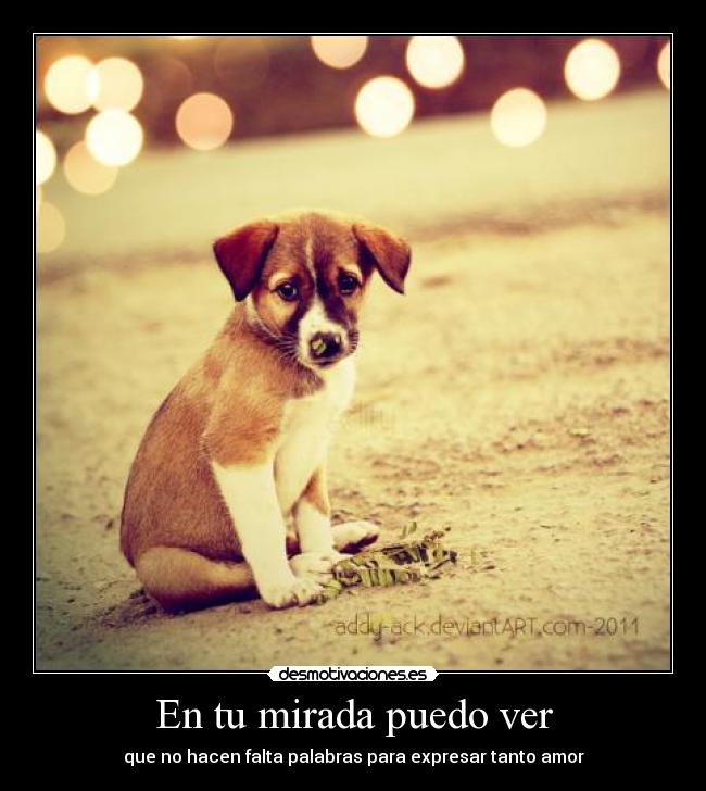 En tu mirada puedo ver - 