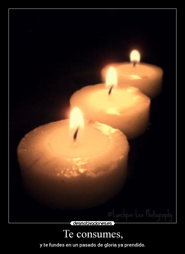 Te consumes, - 