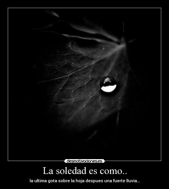 La soledad es como.. - 