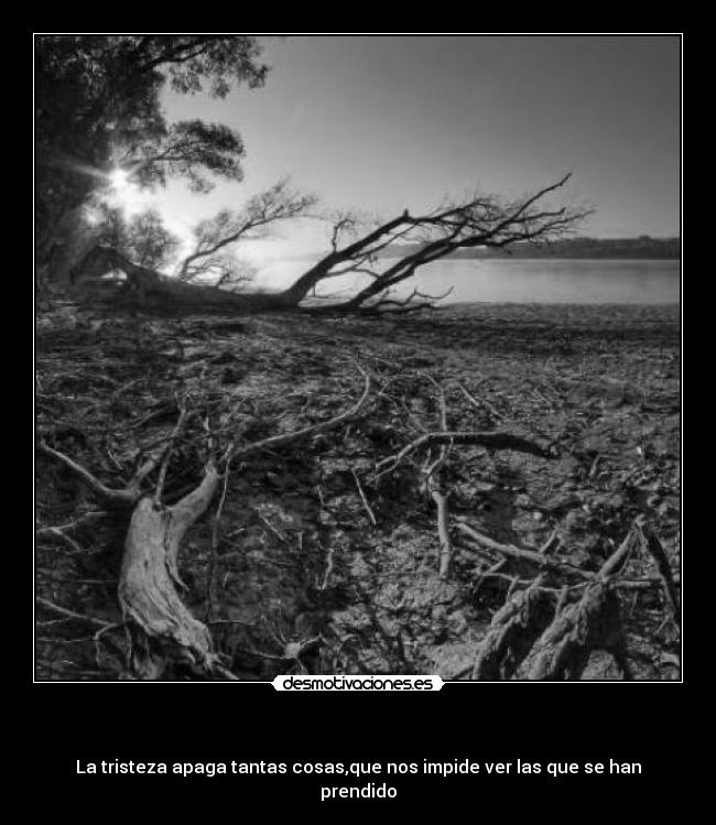   - La tristeza apaga tantas cosas,que nos impide ver las que se han prendido
