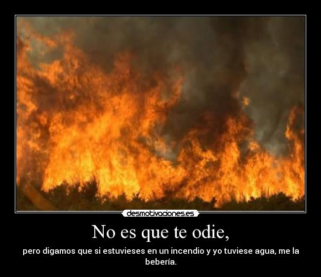 No es que te odie, - pero digamos que si estuvieses en un incendio y yo tuviese agua, me la bebería.