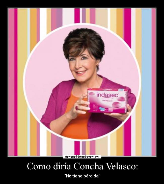 carteles concha velasco perdida desmotivaciones