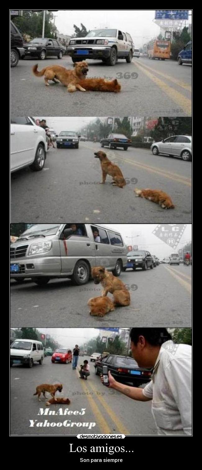 Los amigos... - 
