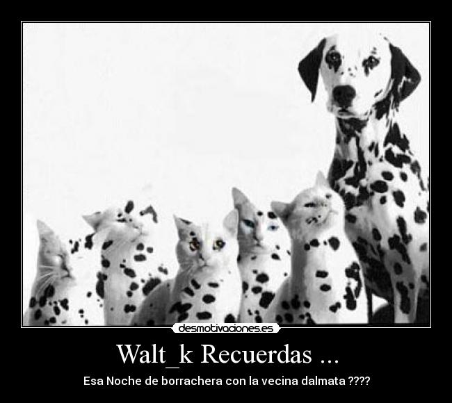 Walt_k Recuerdas ... -