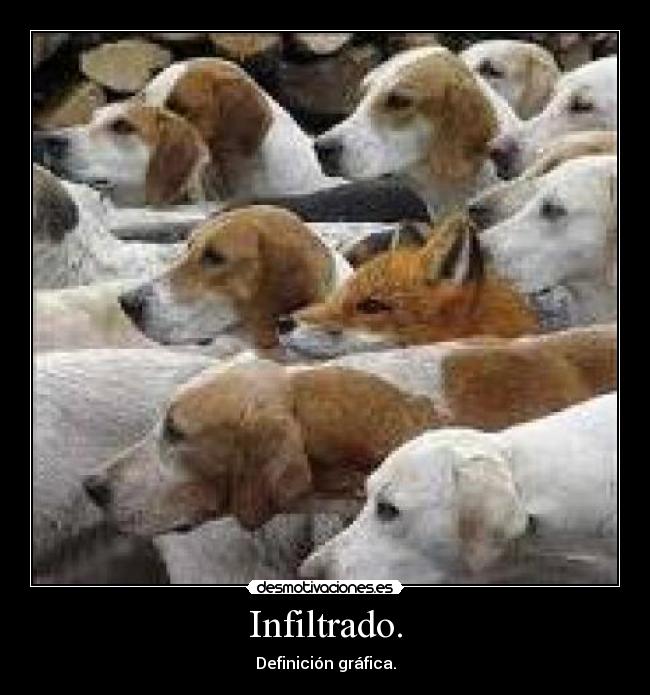 Infiltrado. - Definición gráfica.