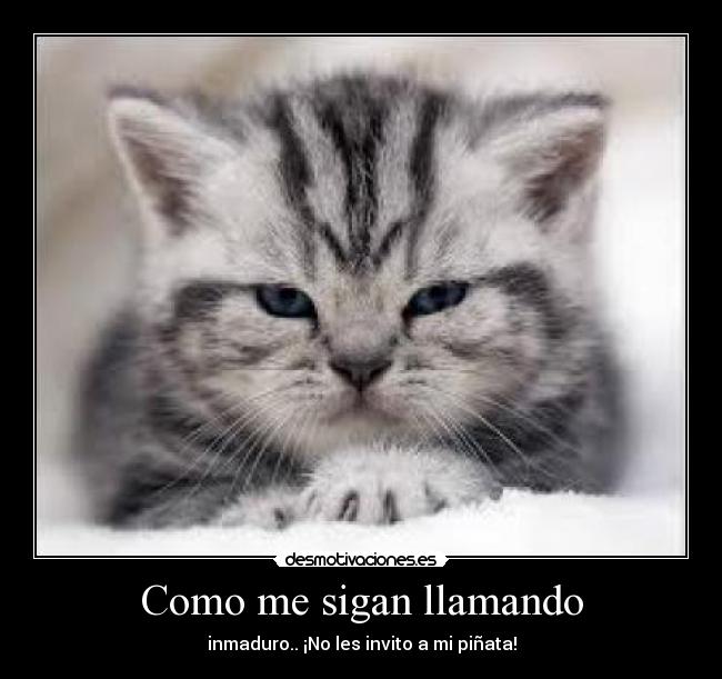 Como me sigan llamando - 