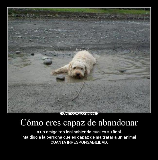 Cómo eres capaz de abandonar -