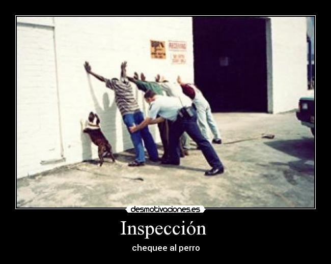 Inspección - chequee al perro