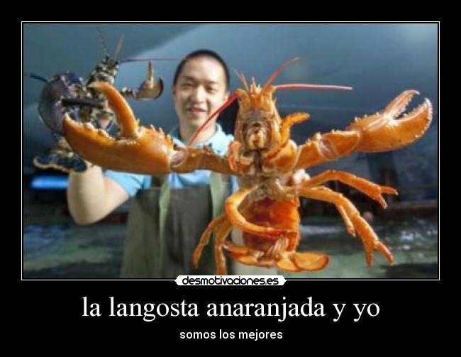 la langosta anaranjada y yo - 