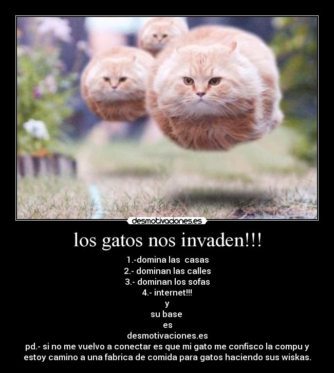 los gatos nos invaden!!! - 1.-domina las casas
2.- dominan las calles
3.- dominan los sofas
4.- internet!!!
y
su base
es
desmotivaciones.es
pd.- si no me vuelvo a conectar es que mi gato me confisco la compu y
estoy camino a una fabrica de comida para gatos haciendo sus wiskas.