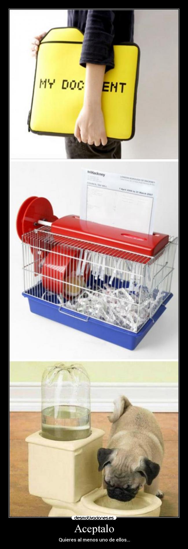 Aceptalo - Quieres al menos uno de ellos...