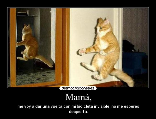 carteles cat desmotivaciones