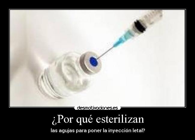 ¿Por qué esterilizan -
