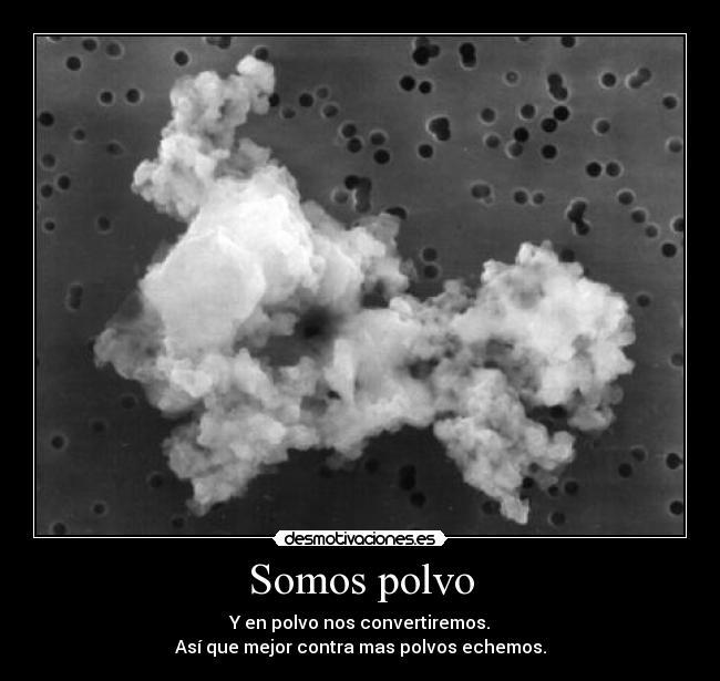 Somos polvo - 