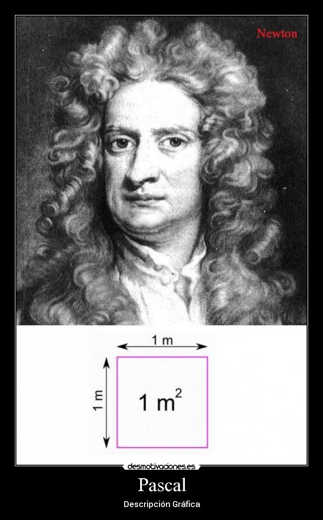 carteles pascal newton descripcion grafica metro cuadrado desmotivaciones