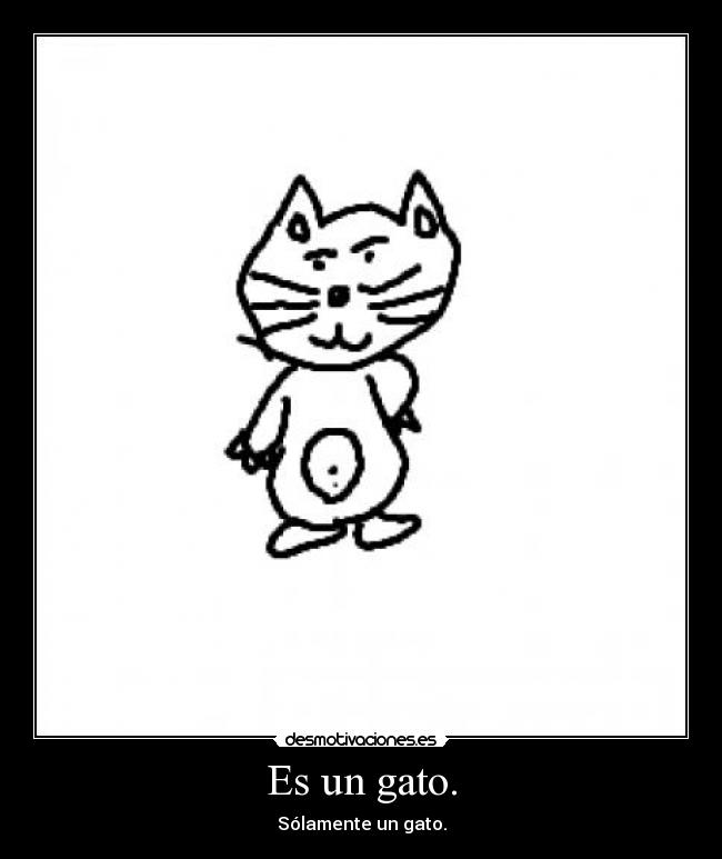 Es un gato. -