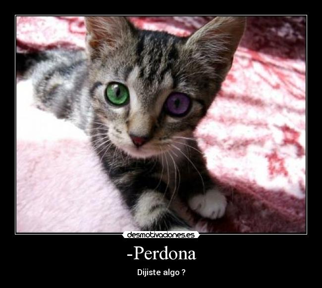 -Perdona -