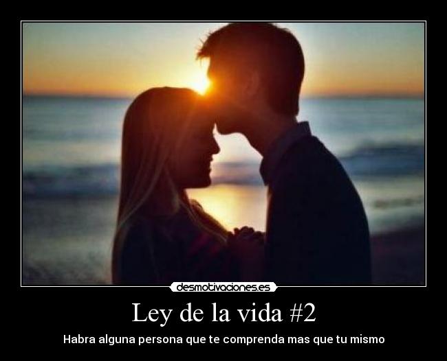 Ley de la vida #2 - 
