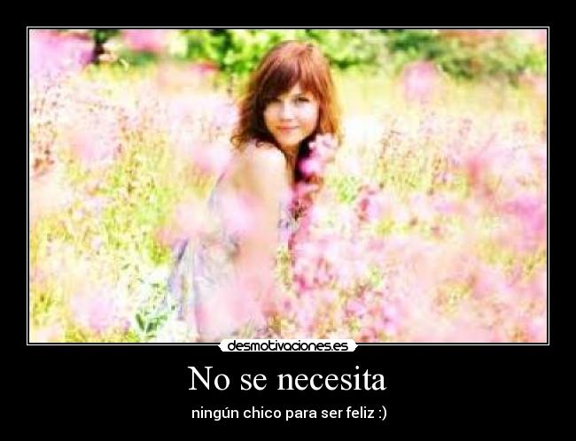 No se necesita - 
