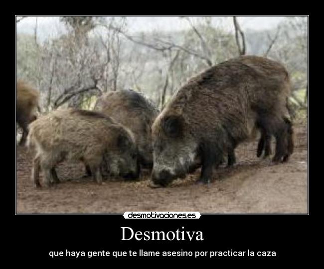 Desmotiva - que haya gente que te llame asesino por practicar la caza