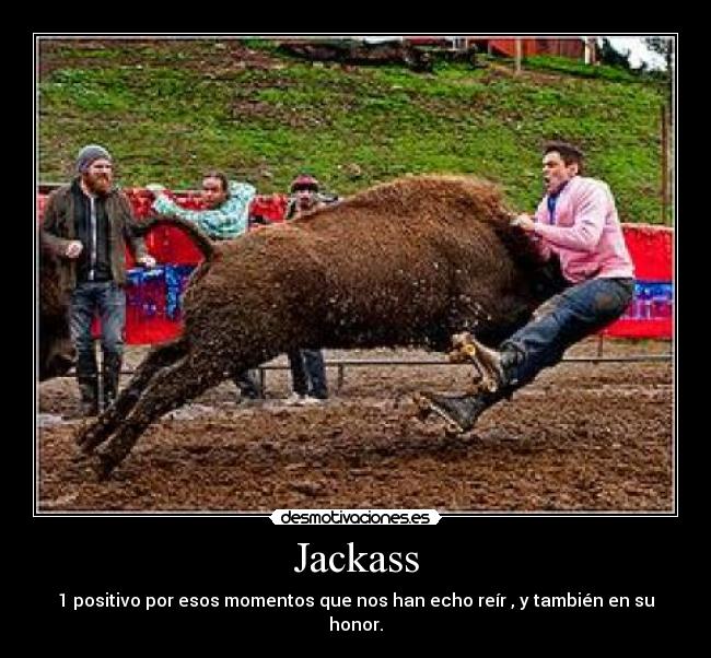 Jackass - 1 positivo por esos momentos que nos han echo reír , y también en su honor.